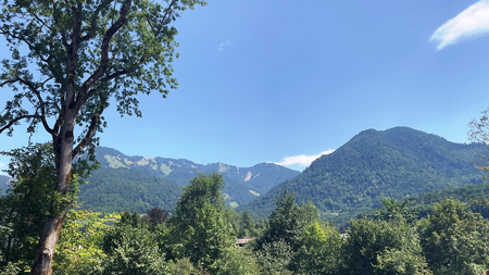 Blick in die Chiemgauer Alpen